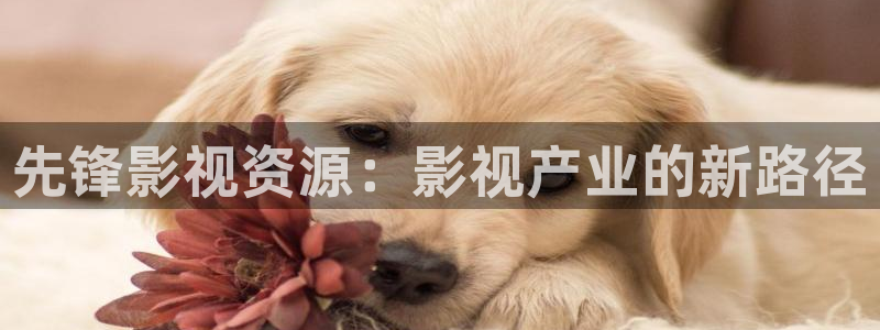 奇优影院手机板