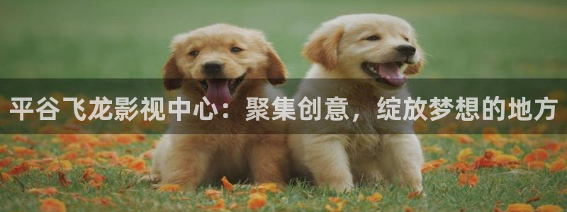 奇优电影在线观看